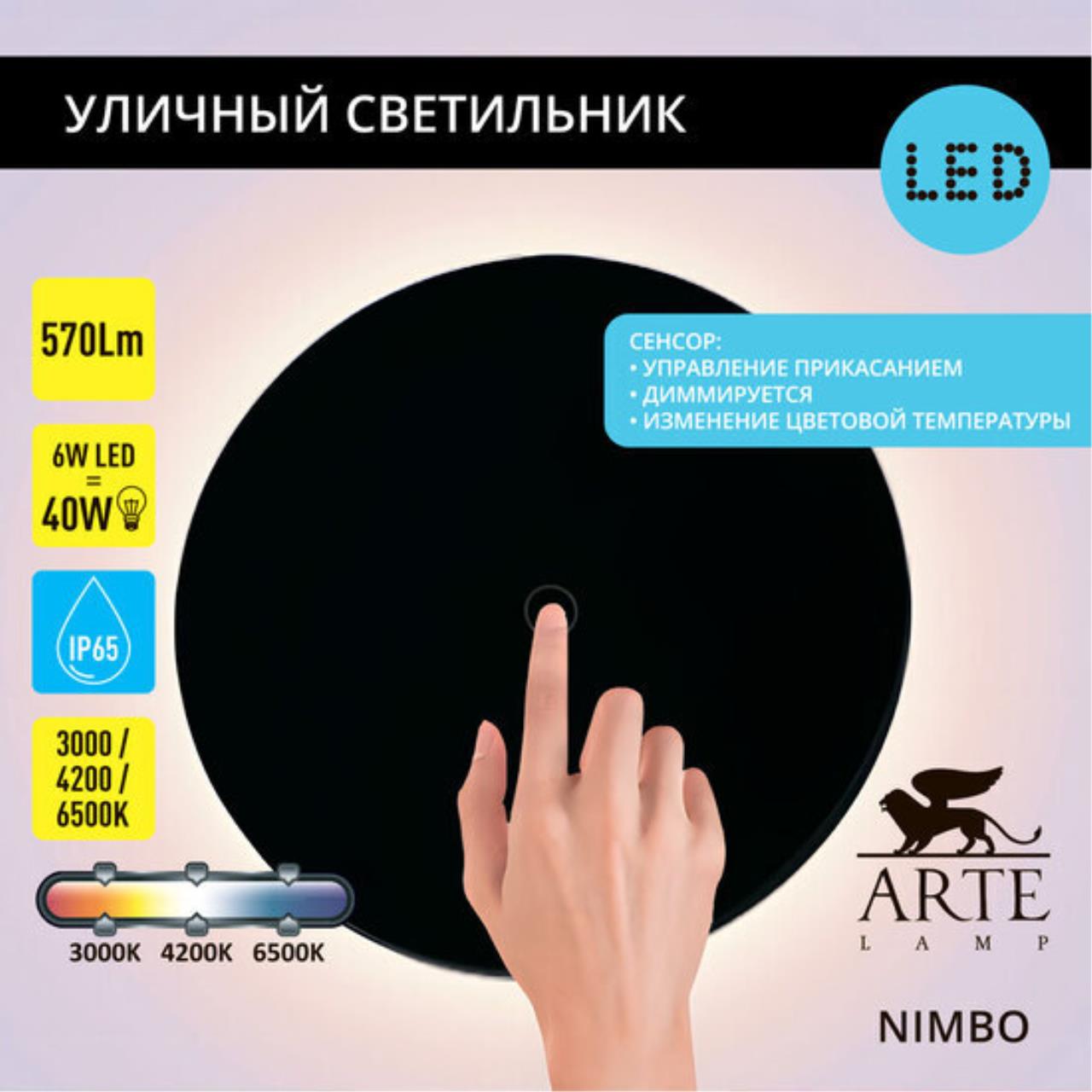 Картинка Настенный уличный светильник Arte Lamp NIMBO A4506AL-1BK