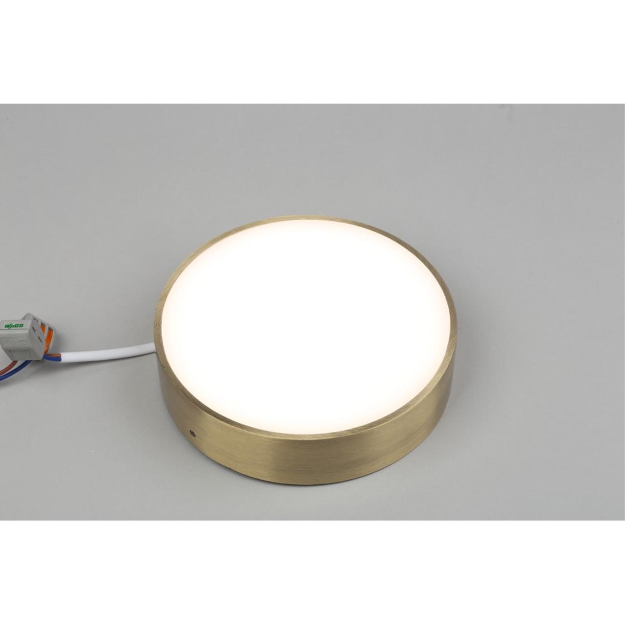 Картинка Потолочный светодиодный светильник Aployt Evon APL.0114.29.18