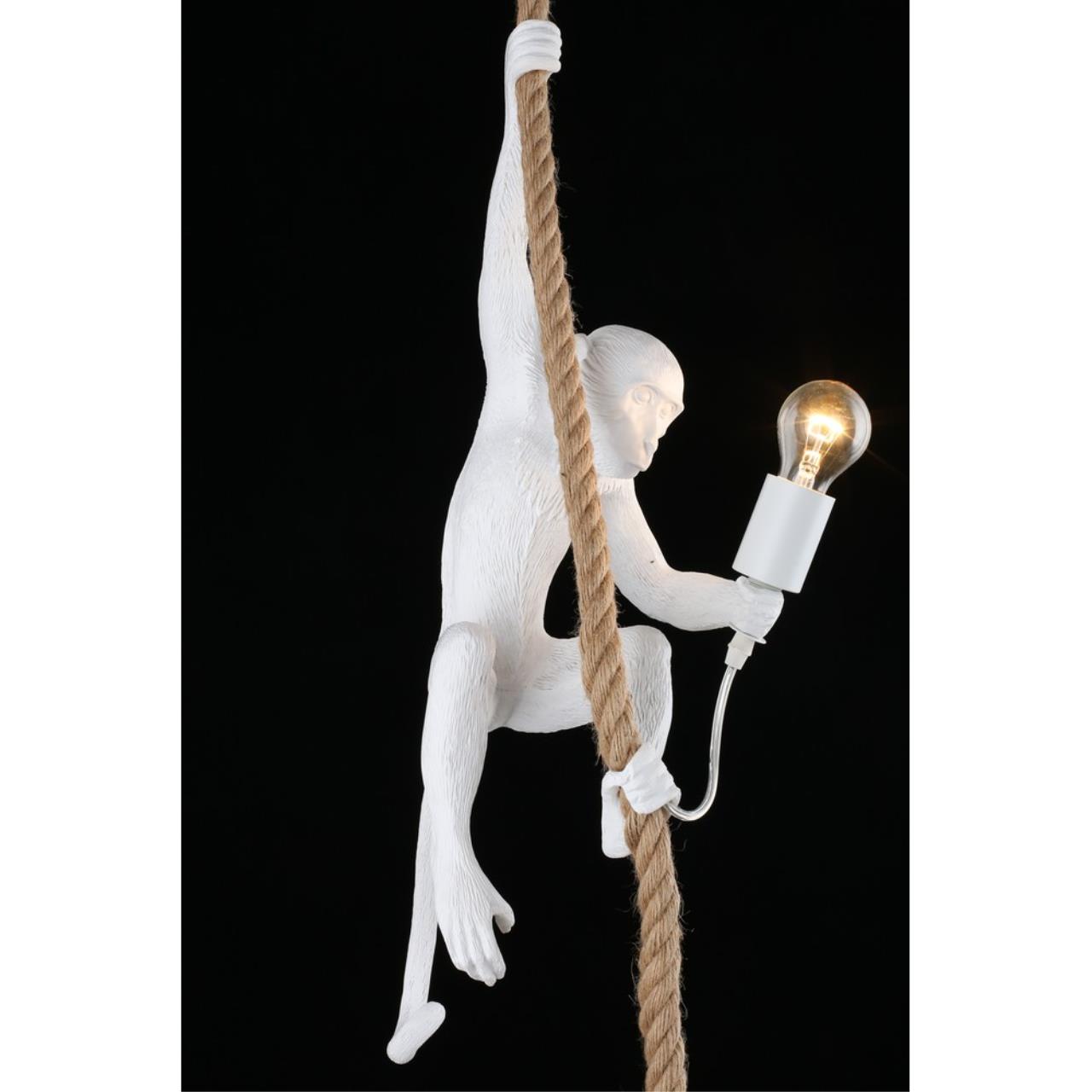 Картинка Подвесной светильник Aployt Magali APL.309.06.01