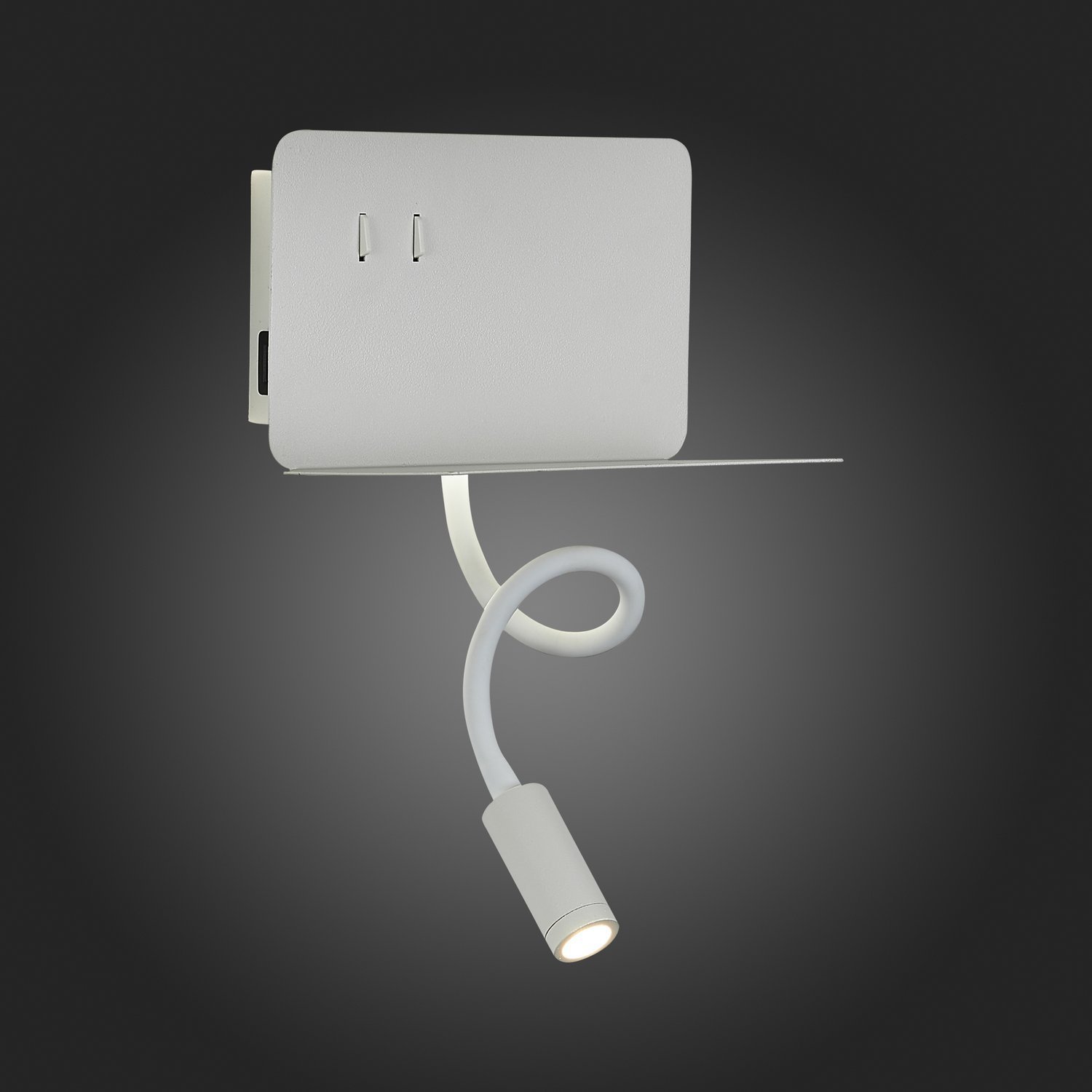 Картинка Настенный светодиодный светильник ST Luce Pinaggio SL1576.501.02