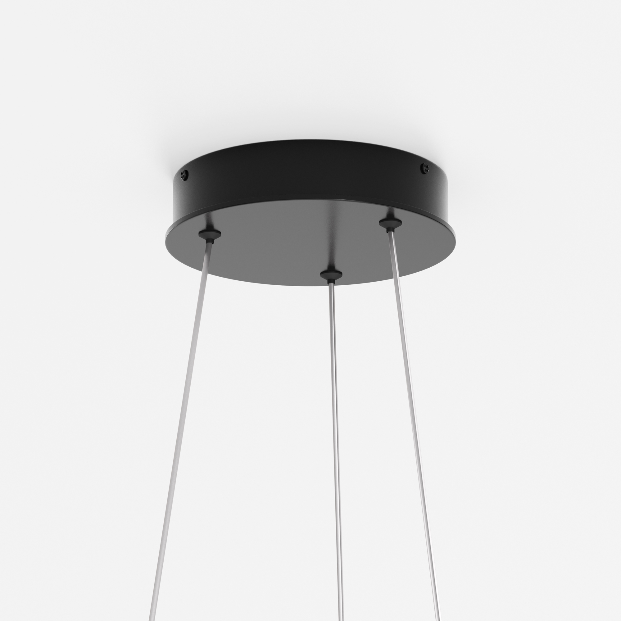 Картинка Подвесной светильник Maytoni MOD058PL-L22BK