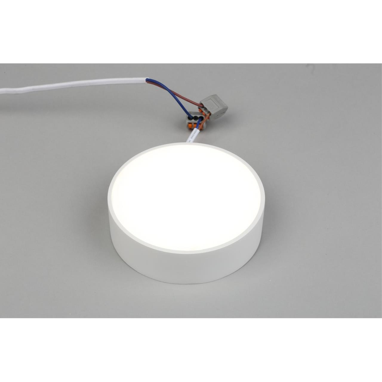 Картинка Потолочный светодиодный светильник Aployt Evon APL.0114.09.12