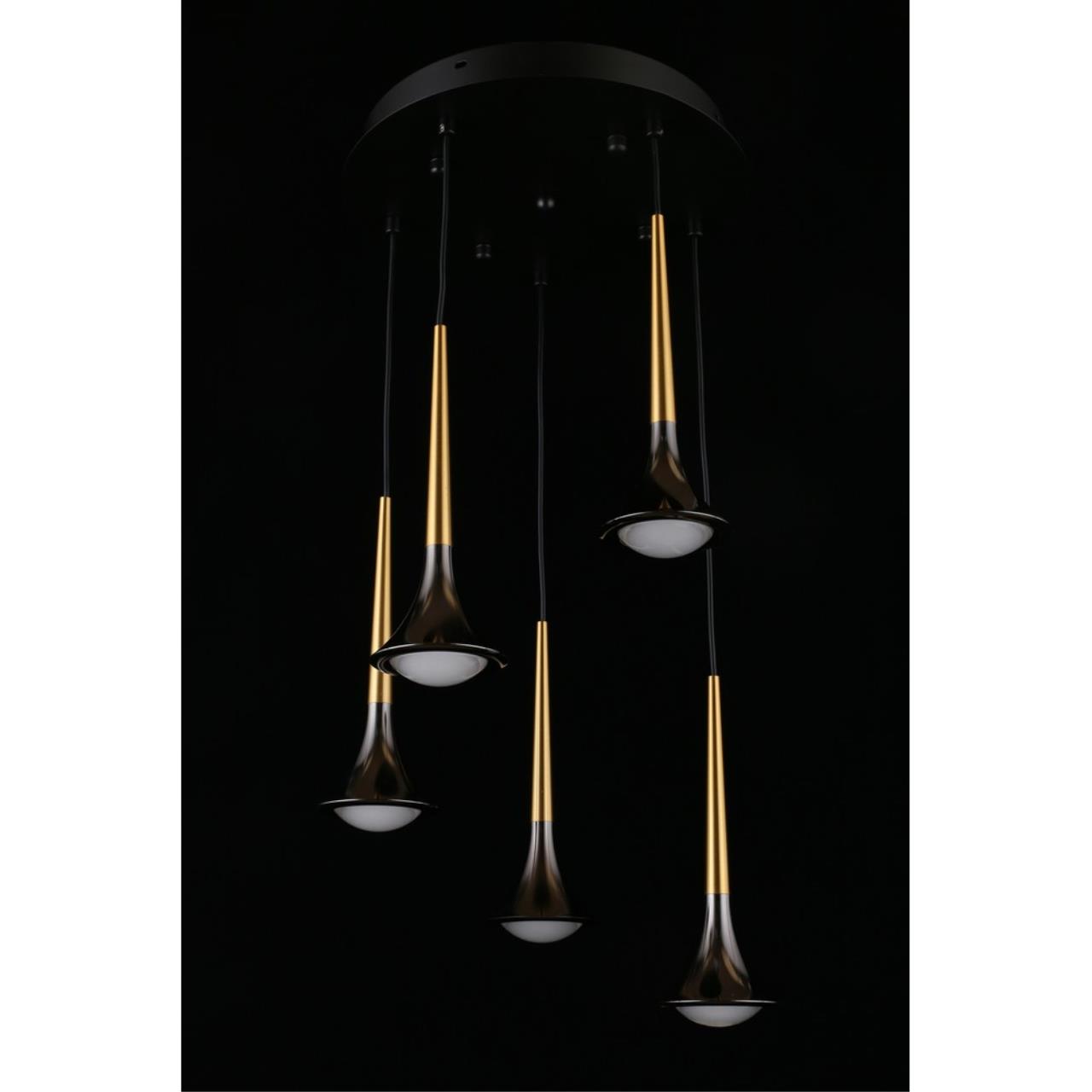 Картинка APL.784.06.05 Светильник подвесной Aployt Agas