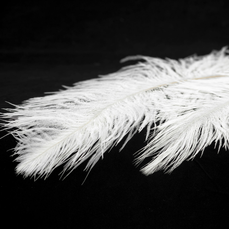 Картинка Люстра Lussole GRLSP-8600