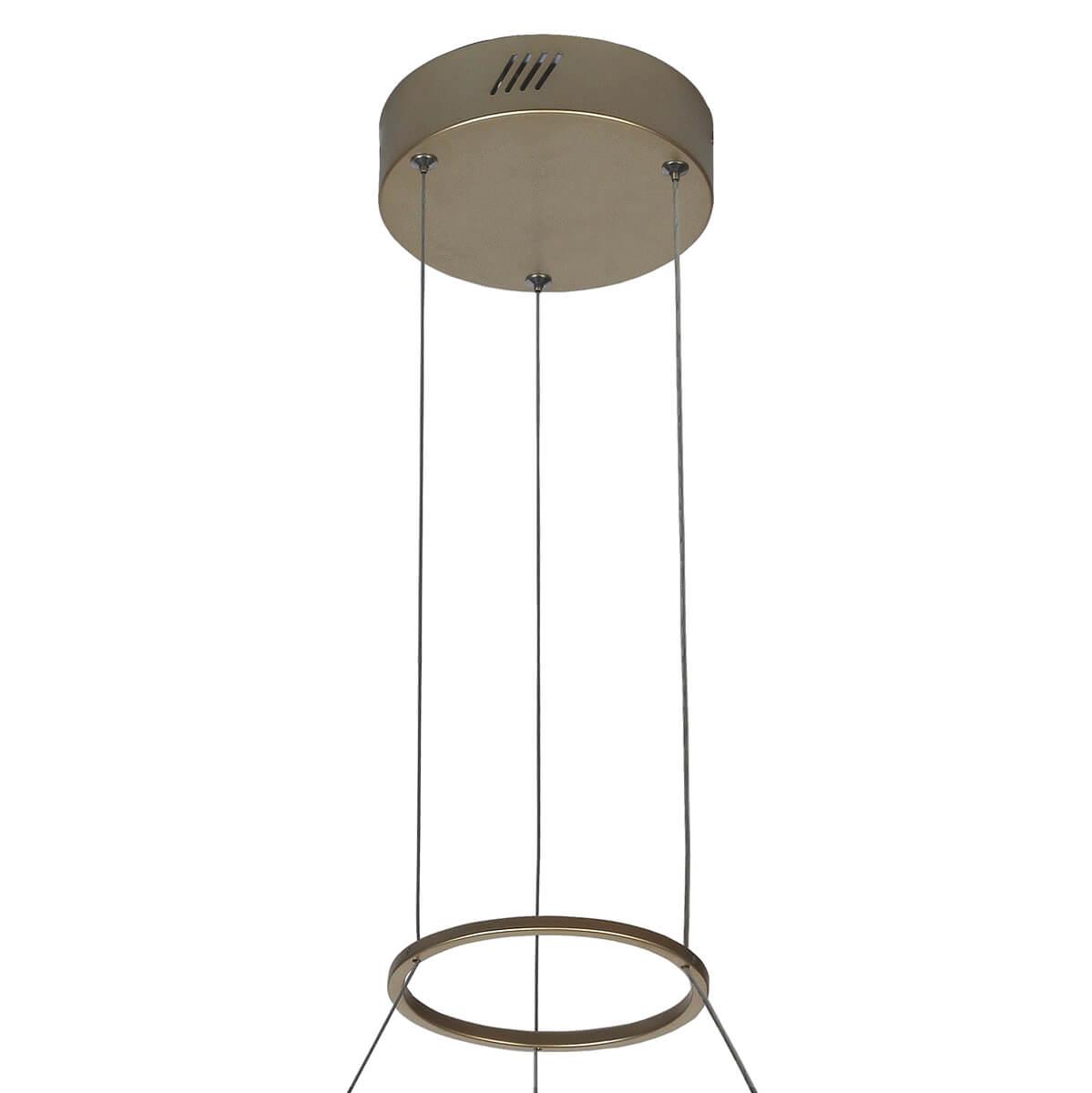 Картинка Подвесной светодиодный светильник Favourite Feather 2353-5P