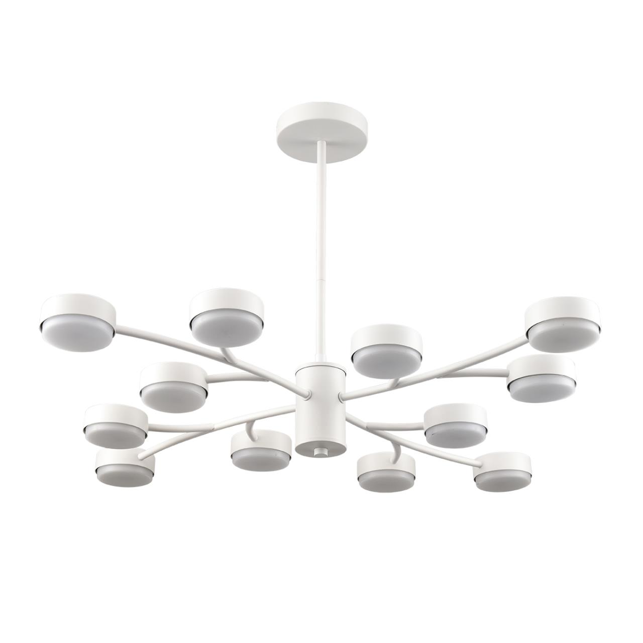 Картинка 8265/12 Lumion Люстра TORINA