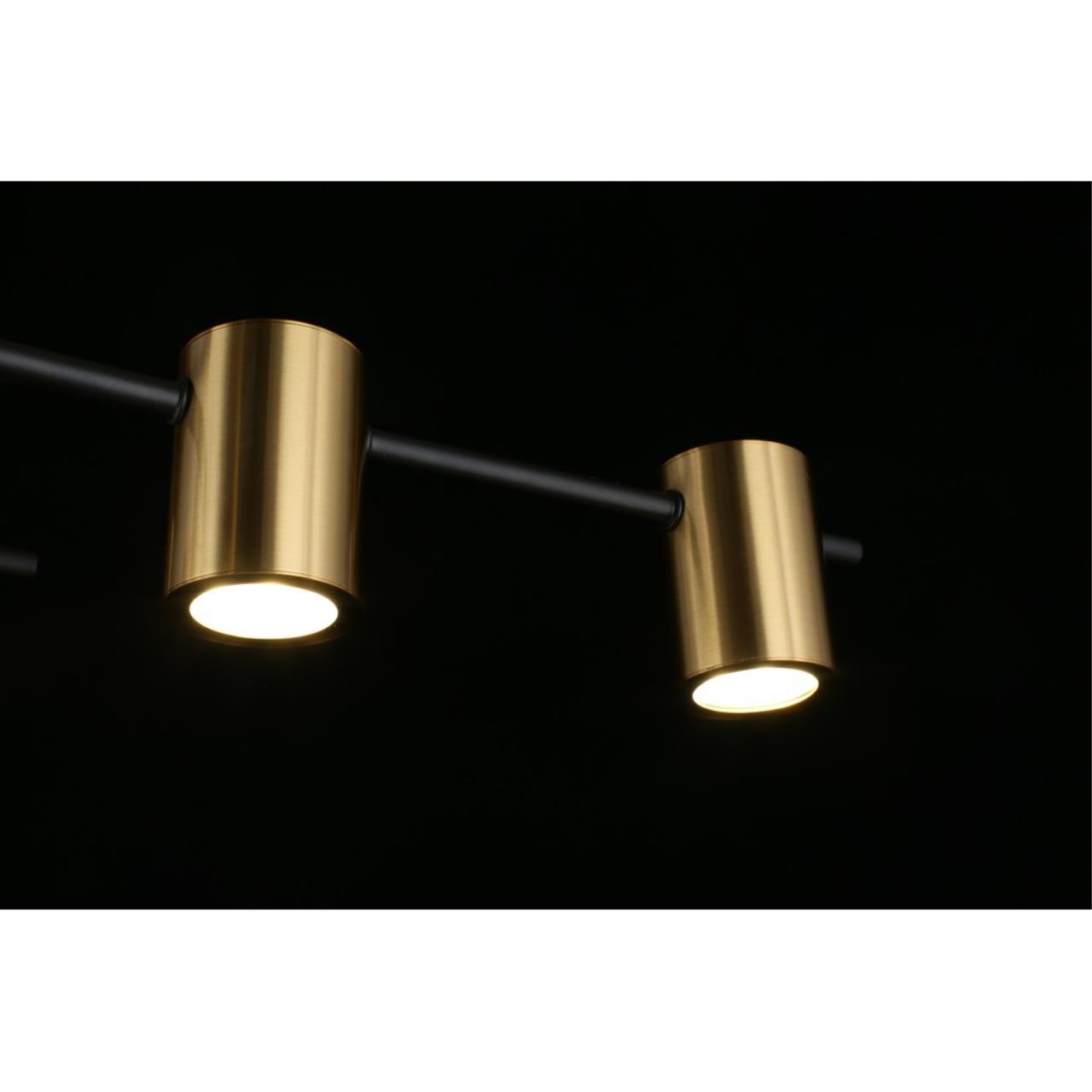 Картинка Потолочная люстра Aployt Elwisia APL.633.07.10