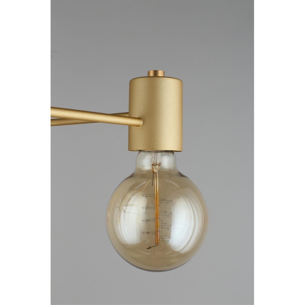 Картинка Потолочная люстра Aployt Elison APL.911.07.05