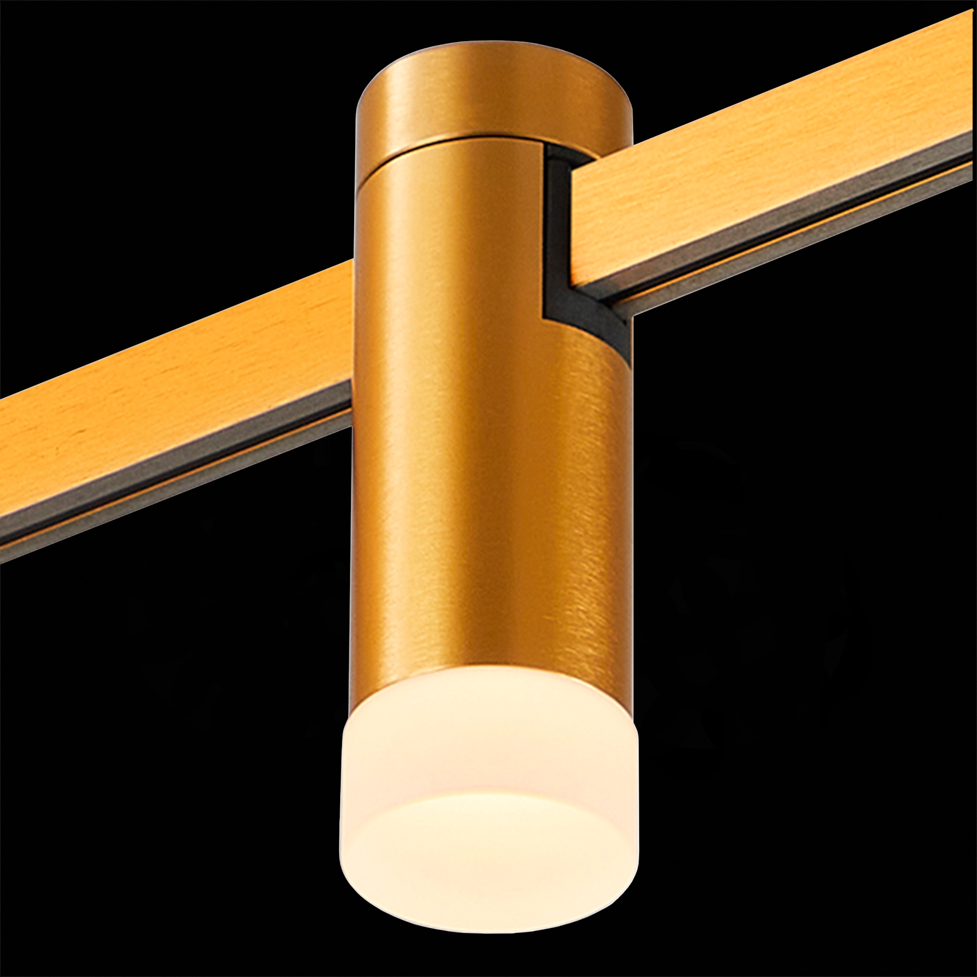 Картинка ST812.206.03 Магнитный трековый светильник FARM