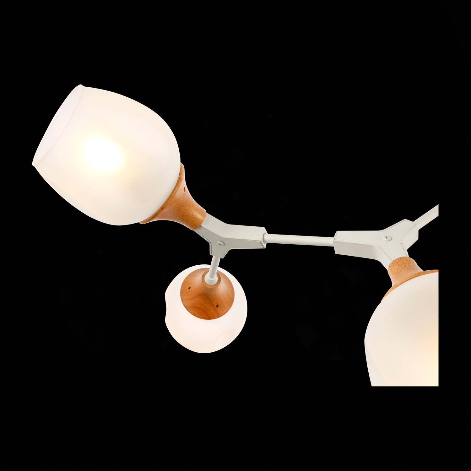 Картинка Потолочная люстра Evoluce Ciotolla SLE113502-05