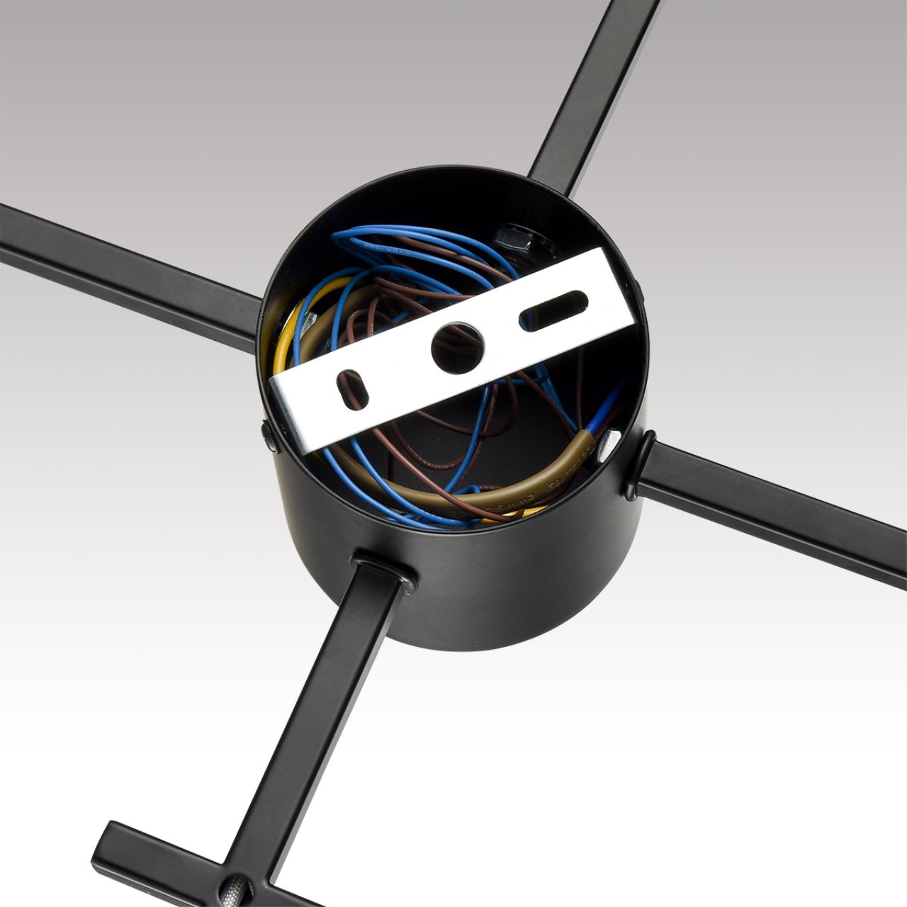 Картинка 8186/8C Lumion Люстра потолочная DABRA