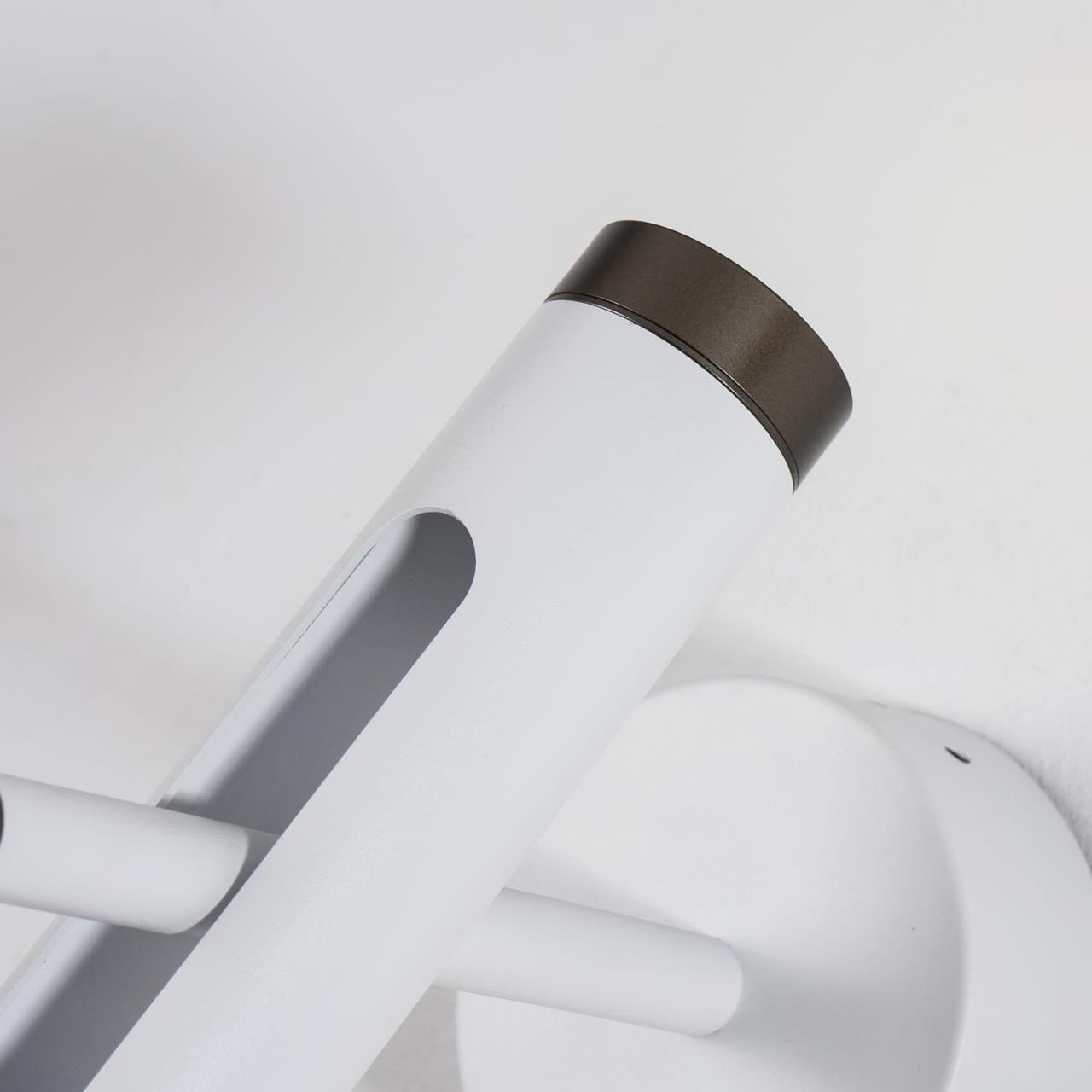 Картинка Светодиодный спот Favourite Duplex 2325-2W