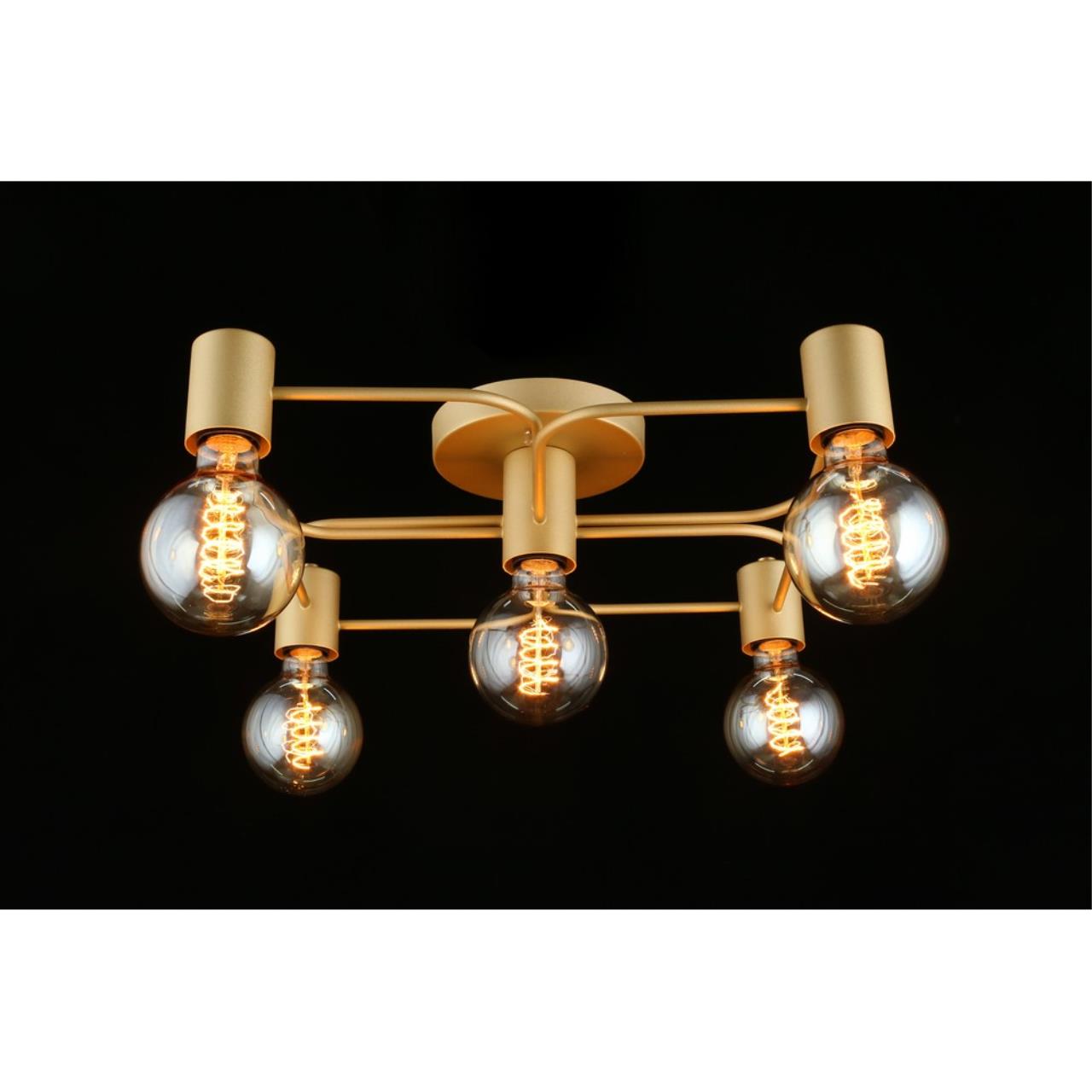 Картинка Потолочная люстра Aployt Elison APL.911.07.05