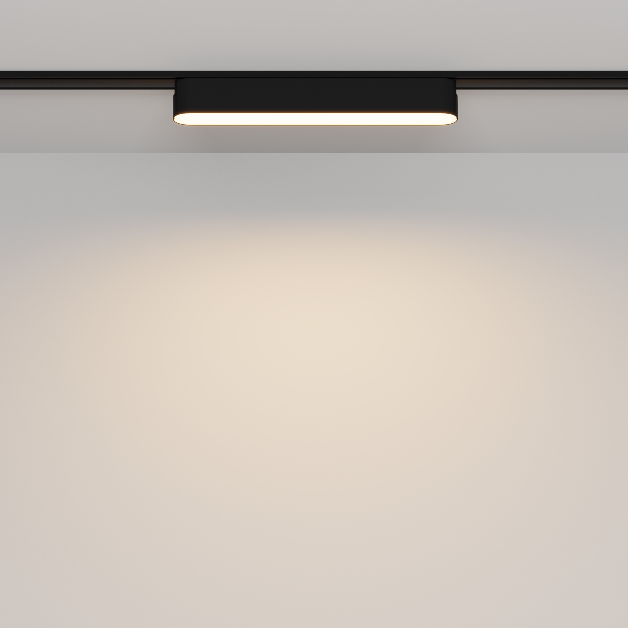 Картинка Трековый светильник Technical TR080-1-12W3K-B