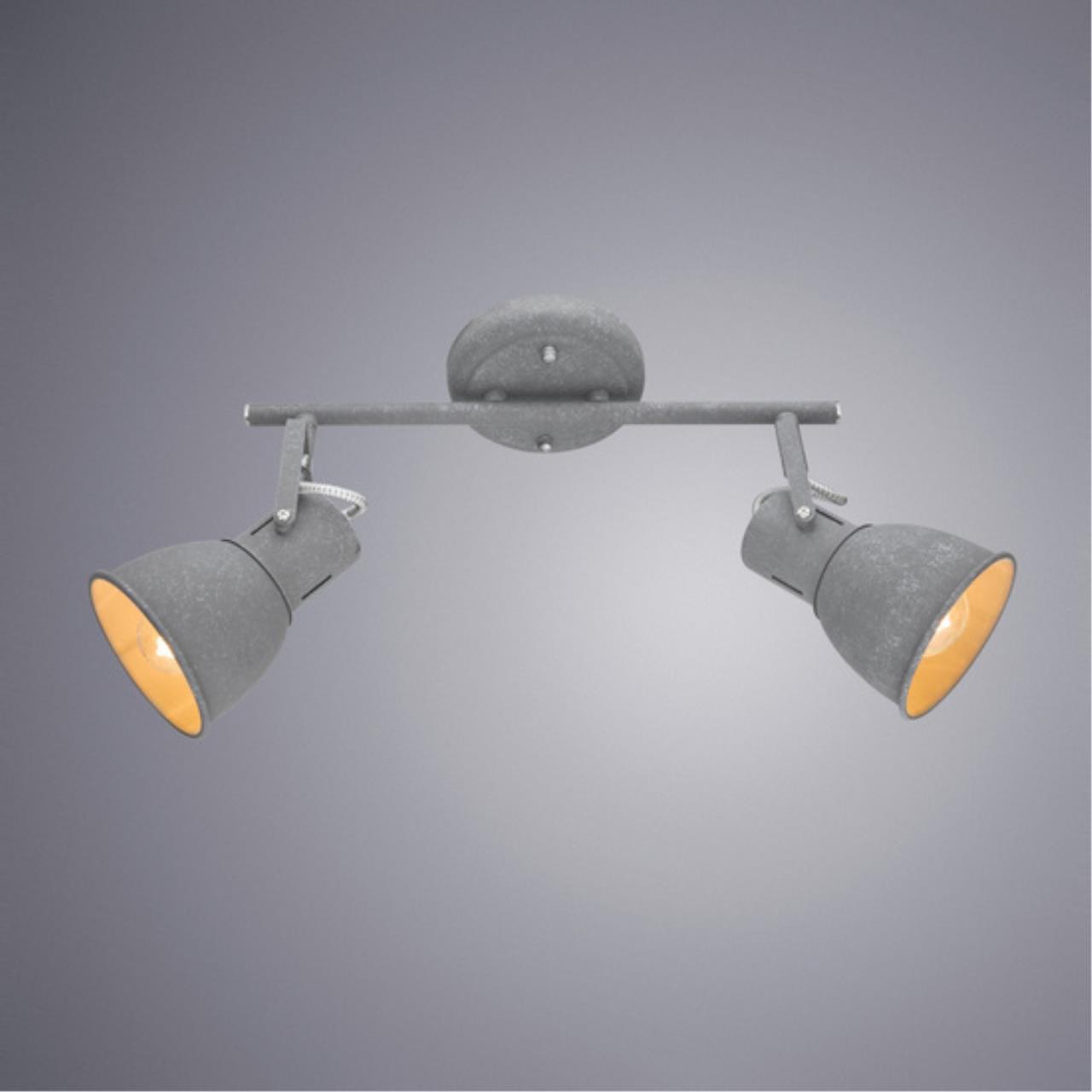 Картинка Спот Arte Lamp A1677PL-2GY