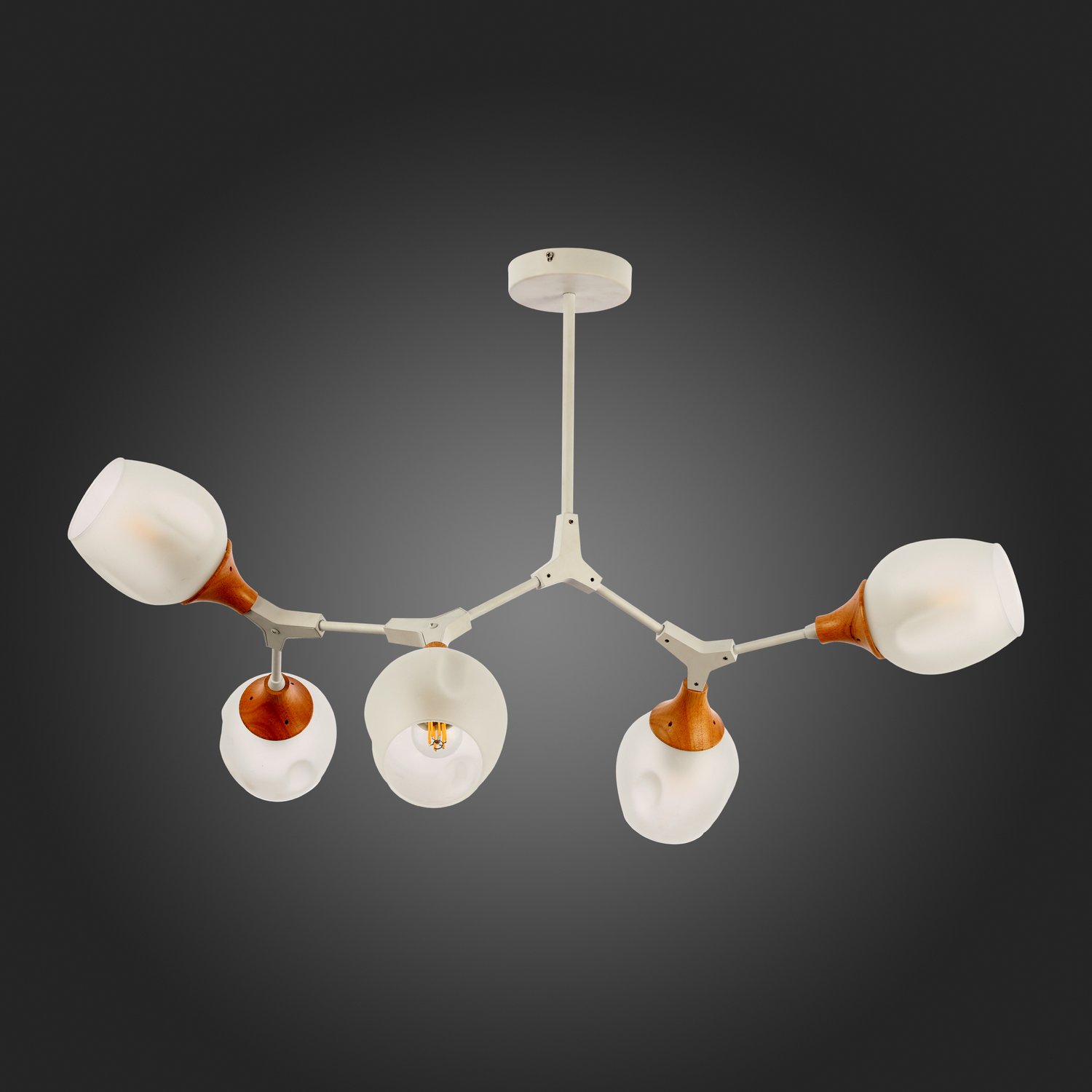 Картинка Потолочная люстра Evoluce Ciotolla SLE113502-05