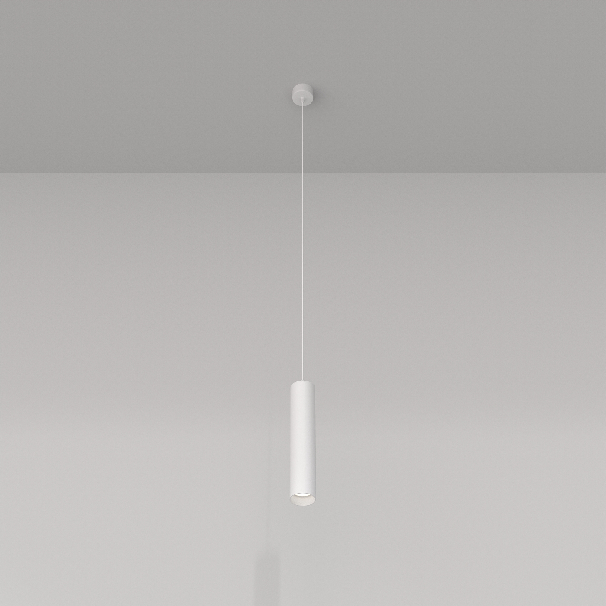 Картинка Подвесной светильник Technical P075PL-01W