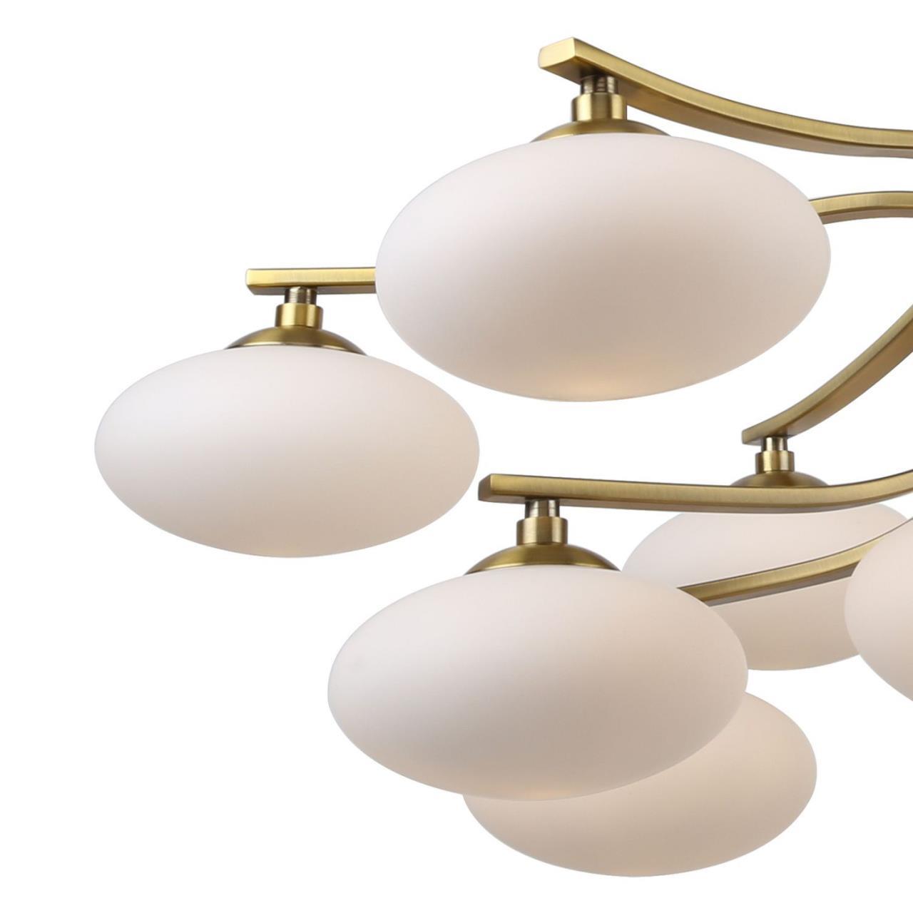 Картинка Подвесная люстра Favourite Pernetti 2513-13P