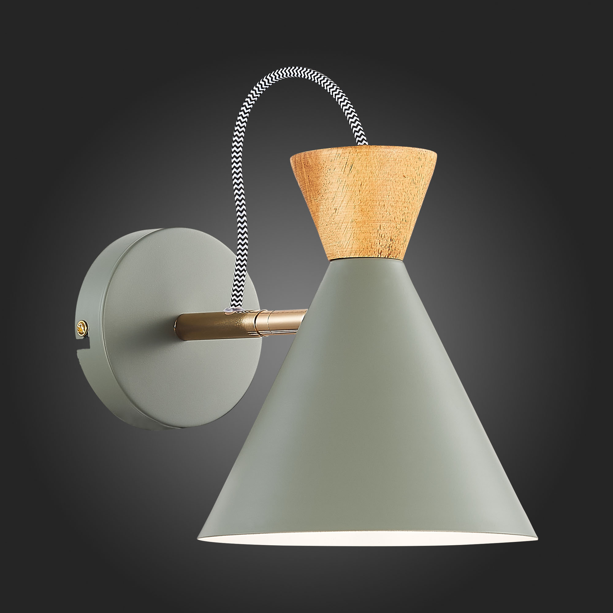 Картинка Бра Evoluce Modica SLE125111-01