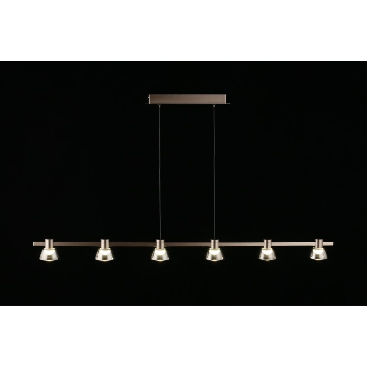 Картинка APL.788.03.06 Светильник подвесной Aployt Rezeda