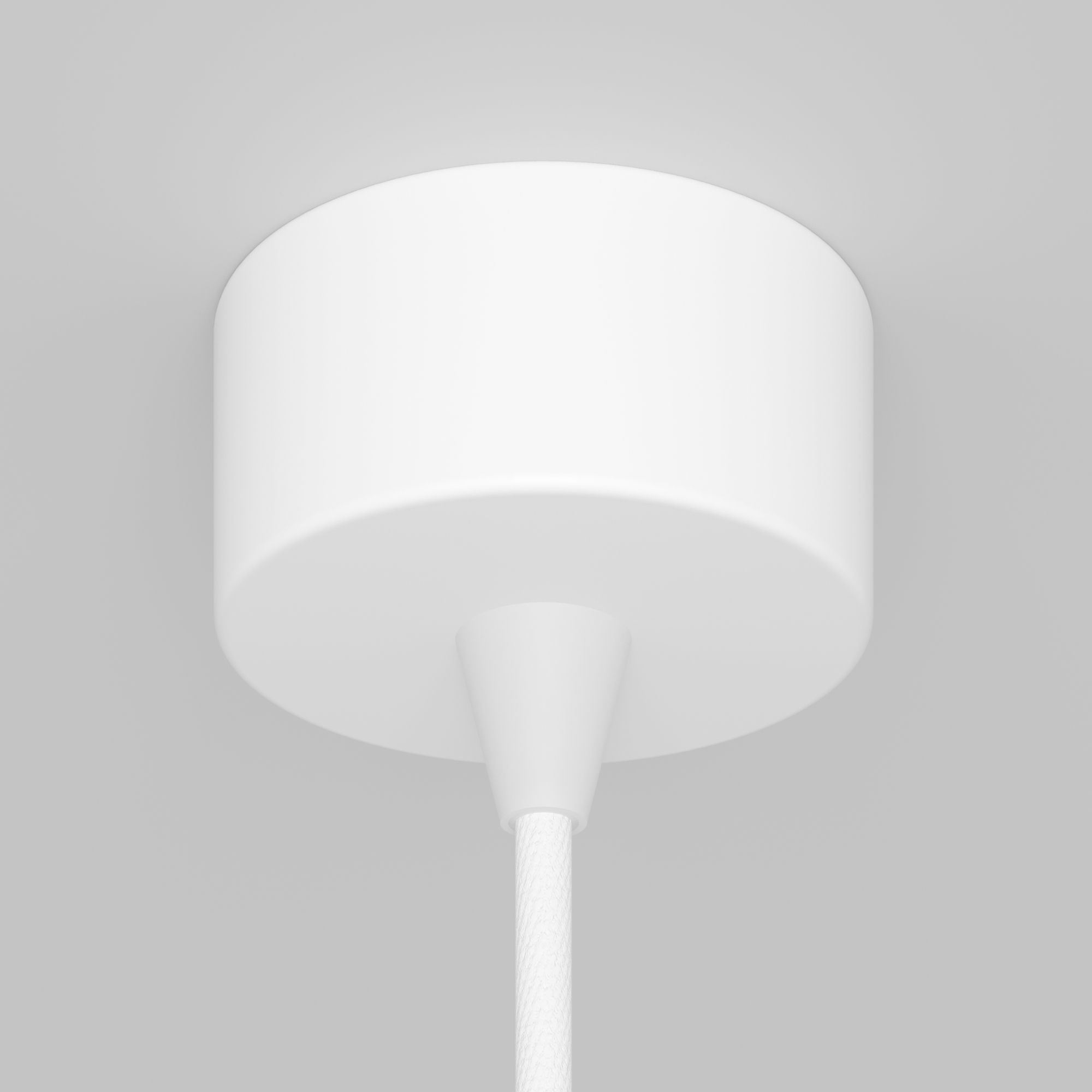 Картинка Подвесной светильник Technical P064PL-01W-1