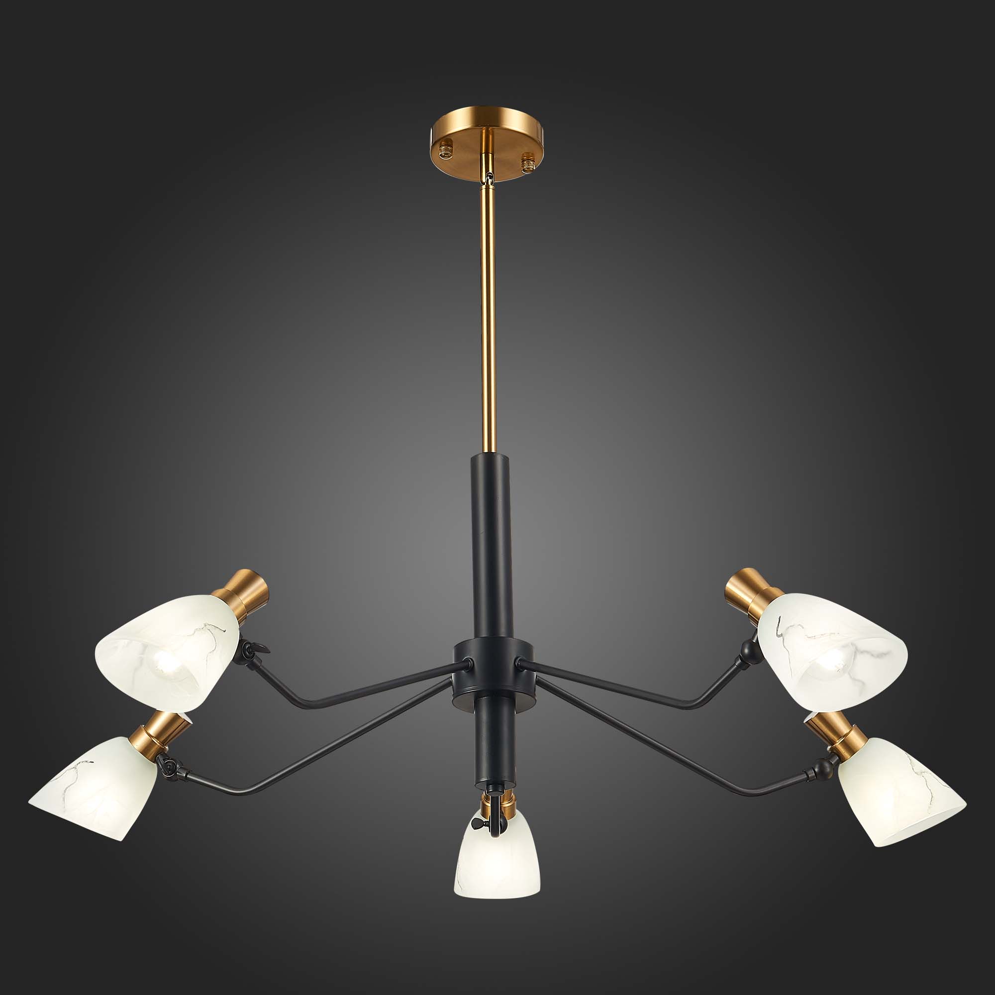 Картинка Подвесная люстра Evoluce Lita SLE205403-05