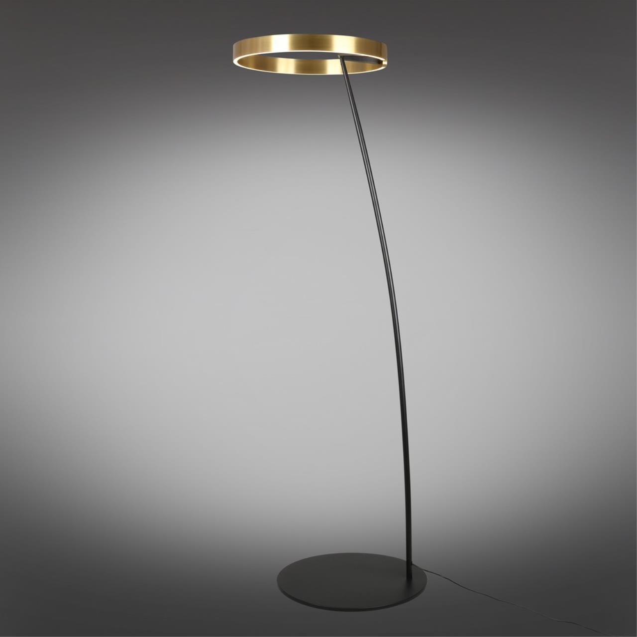 Картинка APL.653.05.30 Торшер Aployt Leonn