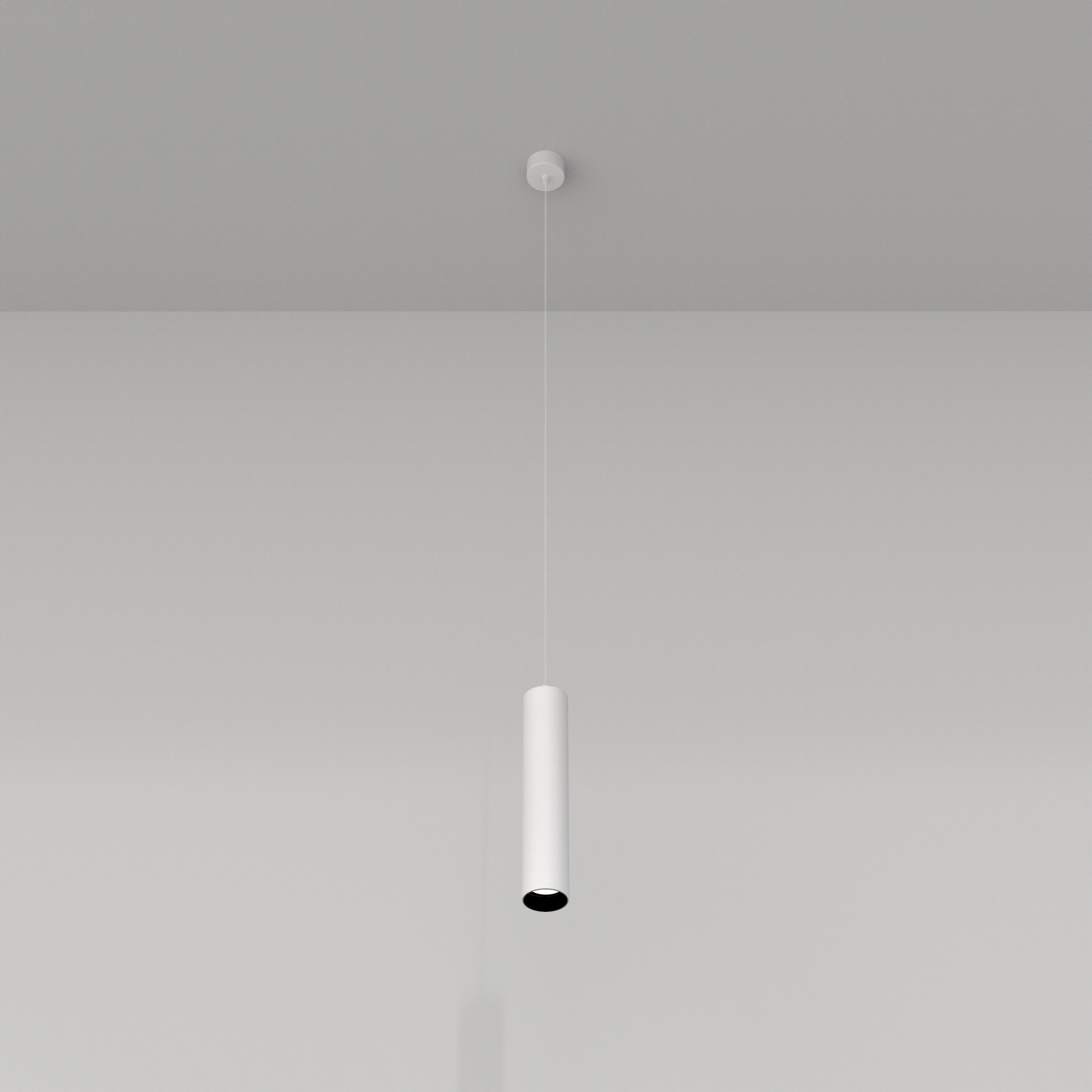 Картинка Подвесной светильник Technical P075PL-01W