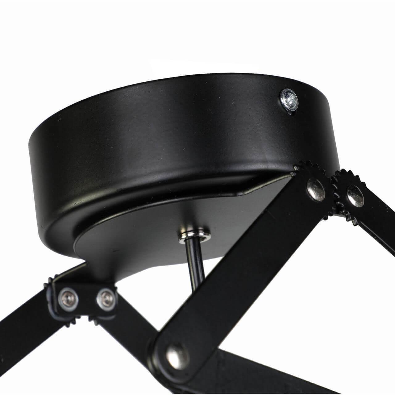 Картинка Подвесной светильник Favourite Limelight 2069-1U