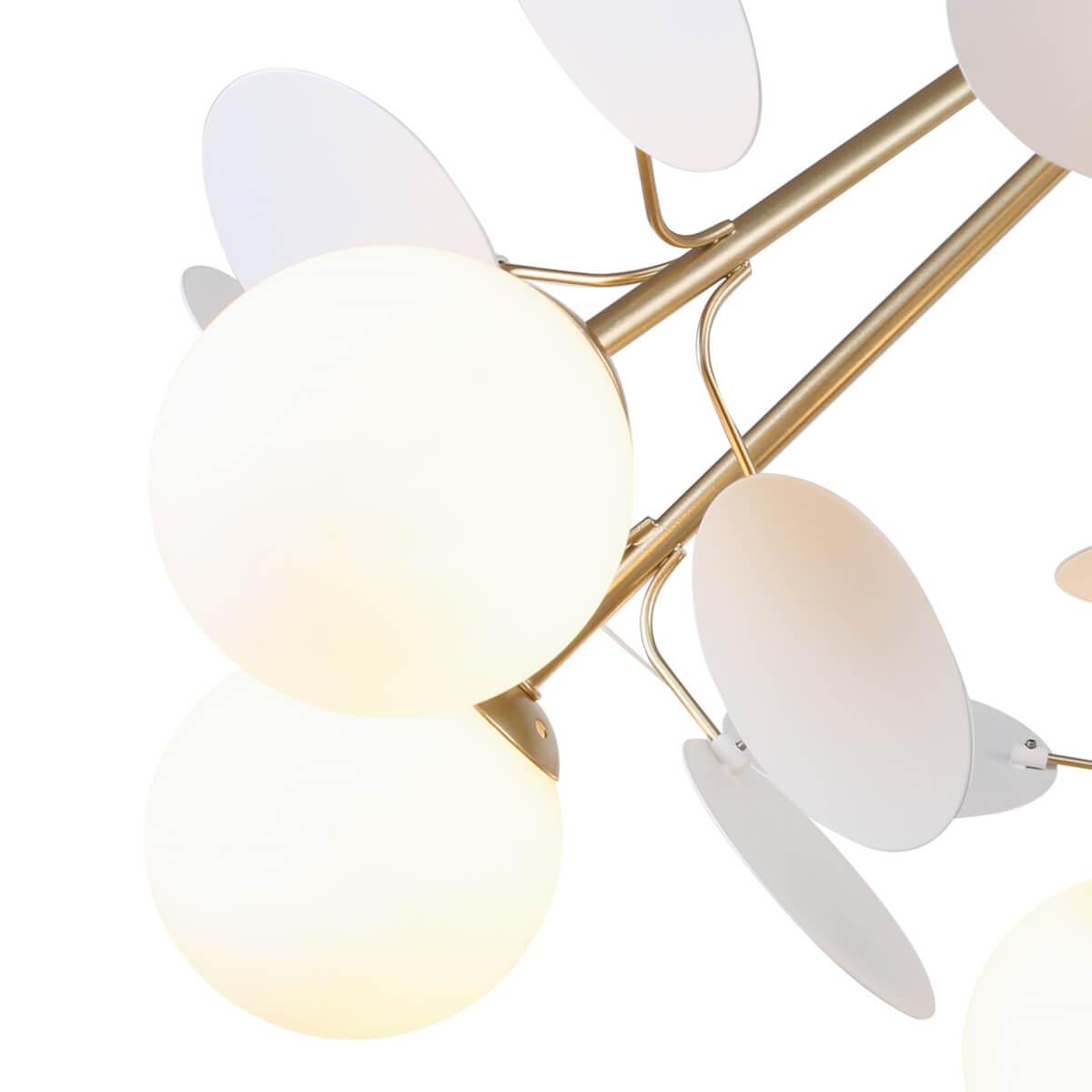 Картинка Потолочная люстра F-Promo Bliss 2771-8P