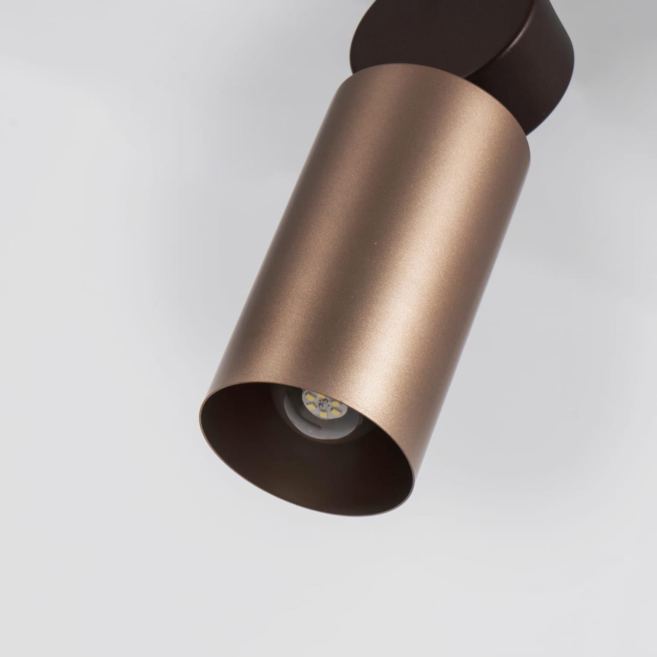 Картинка Подвесной светильник Favourite Otium 2214-1P