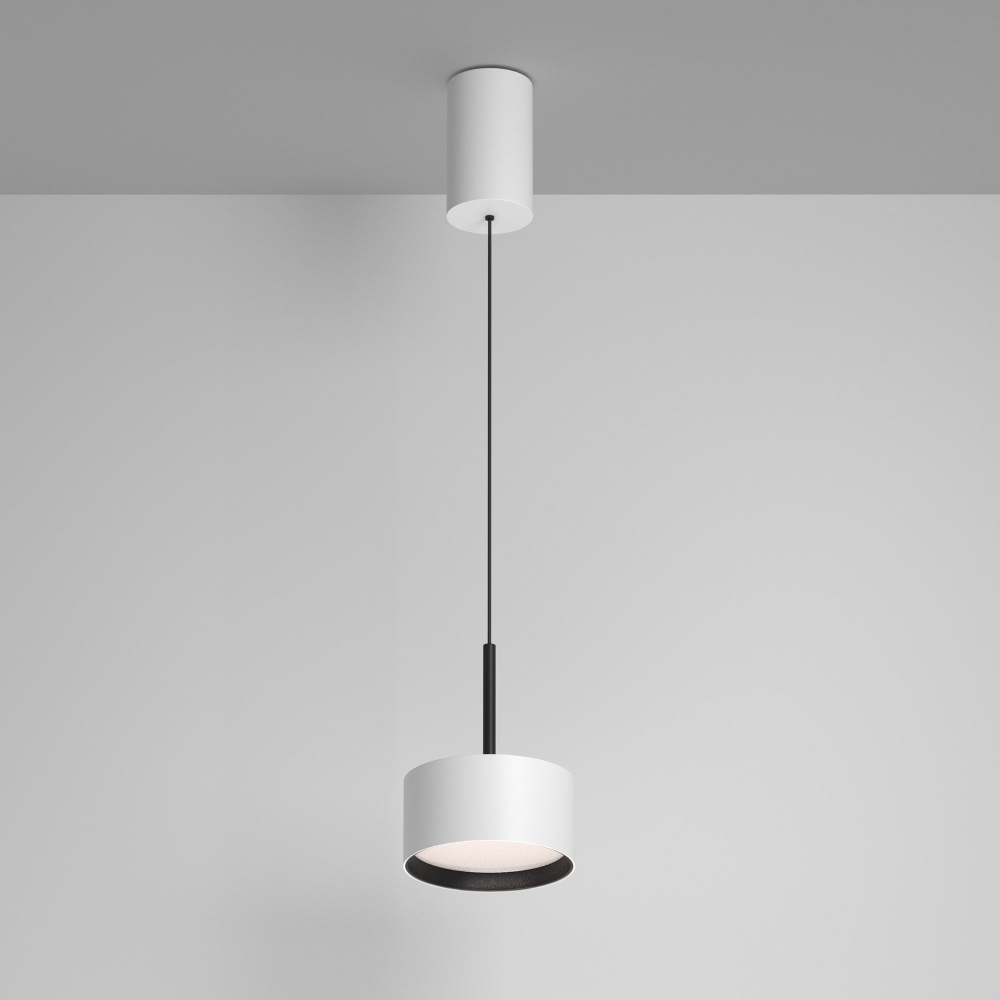 Картинка Подвесной светильник Technical P102PL-12W4K-W