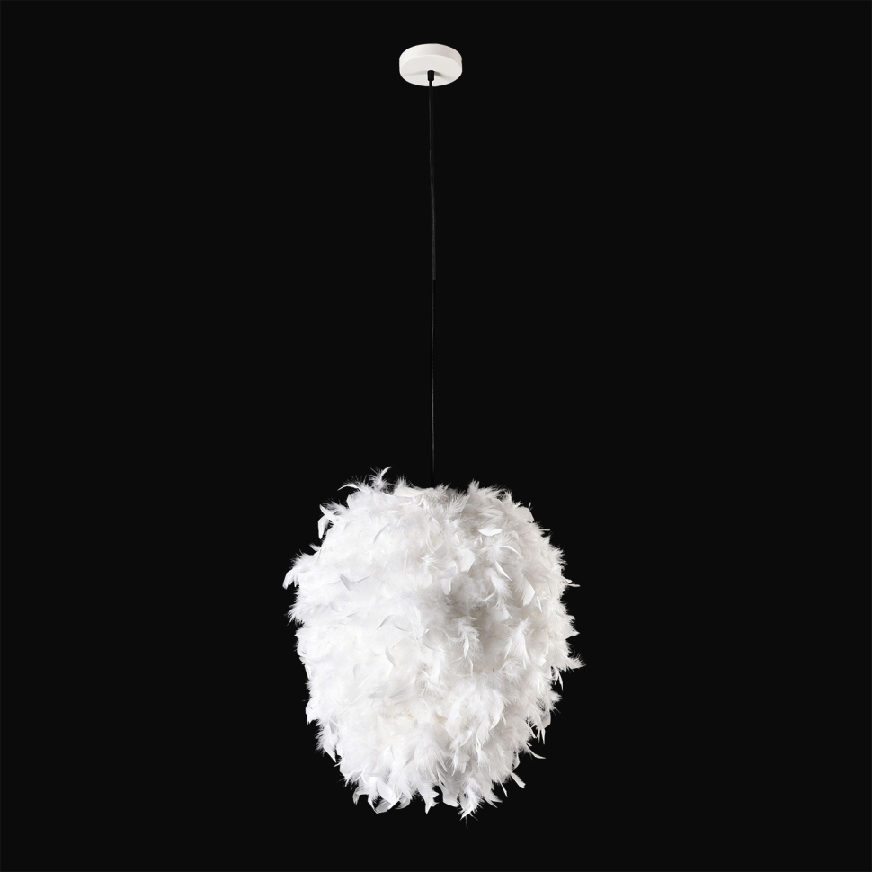 Картинка Люстра Lussole GRLSP-8603