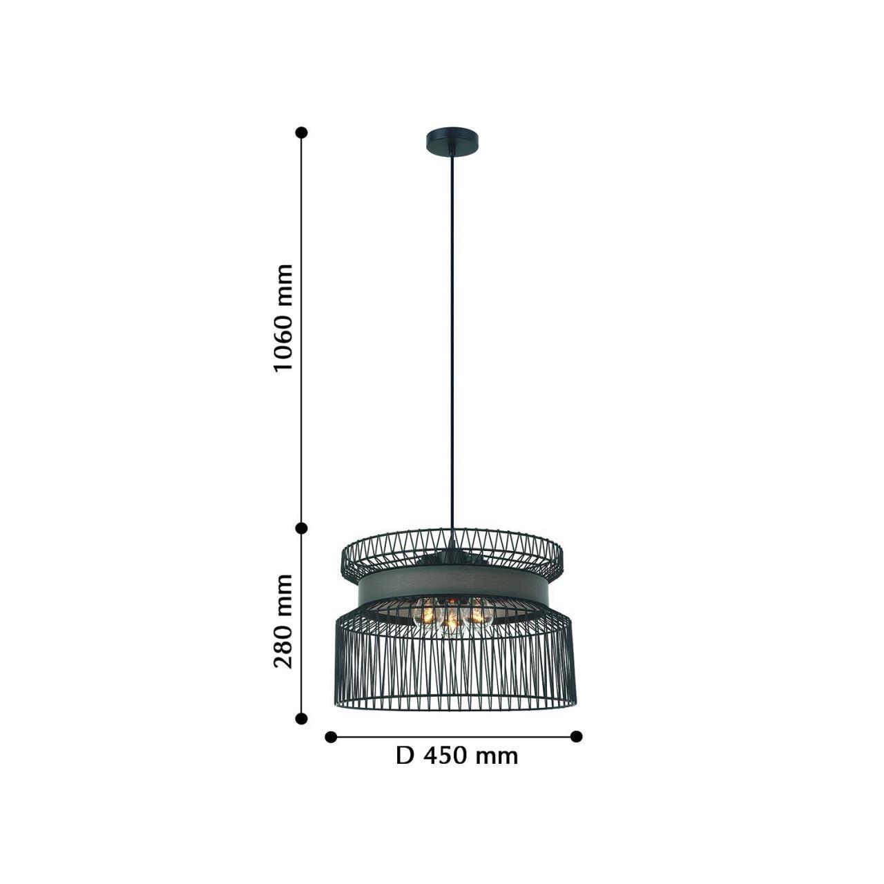 Картинка Подвесная люстра Favourite Korb 2363-2P