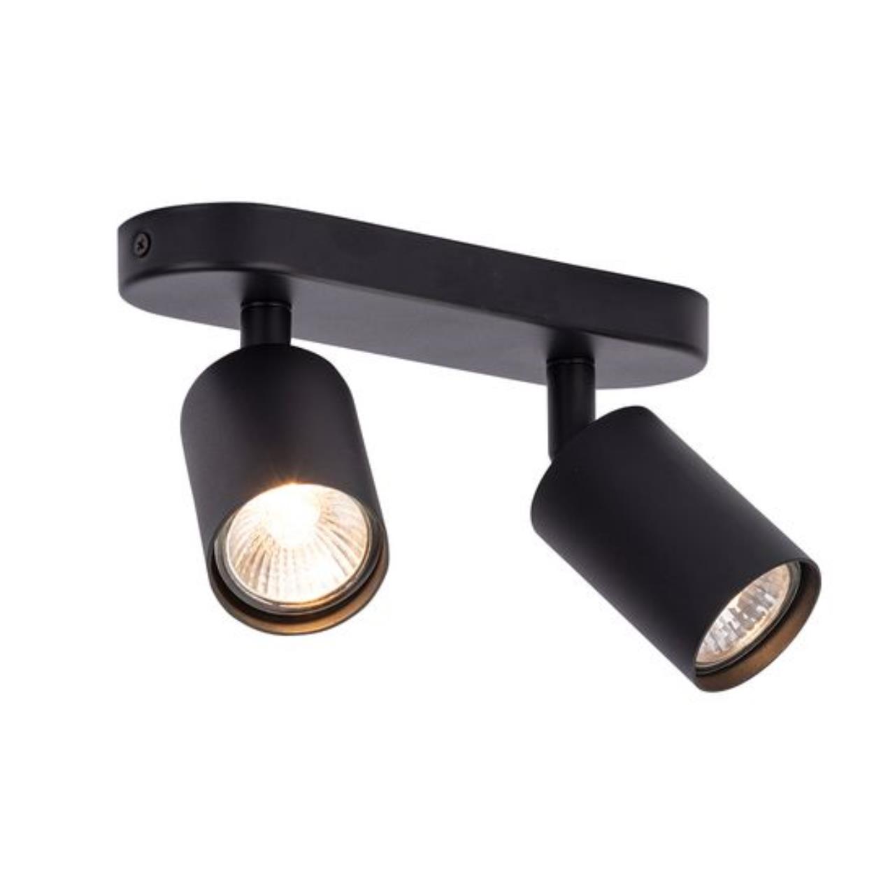 Картинка Потолочный светильник Arte Lamp AQUARIUS A3226PL-2BK