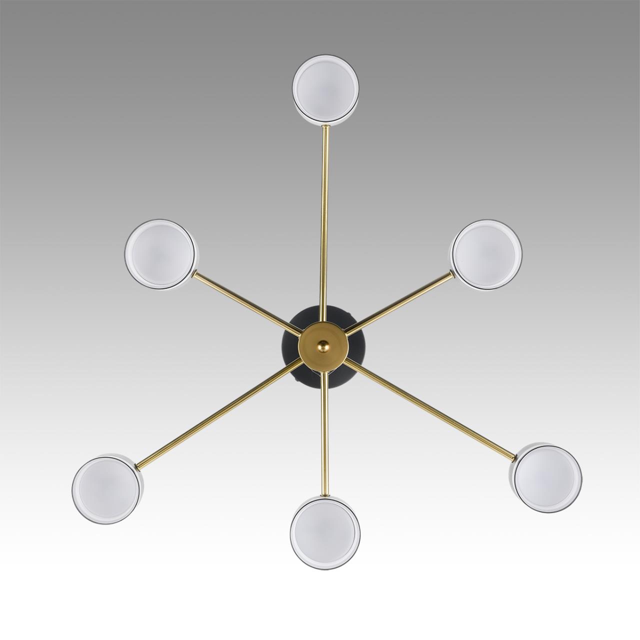 Картинка 8240/6C Lumion Люстра потолочная LANIKA