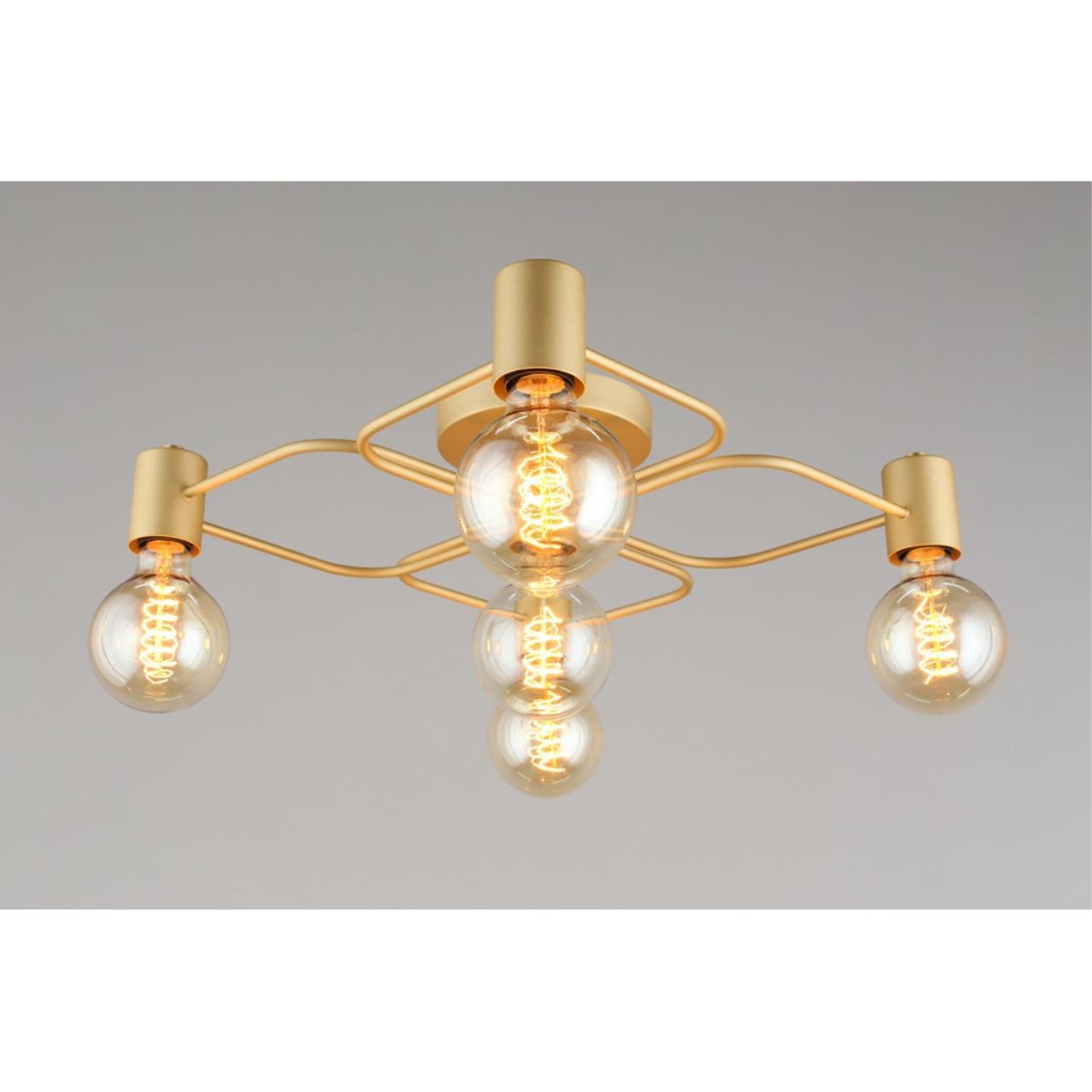 Картинка Потолочная люстра Aployt Elison APL.911.07.05