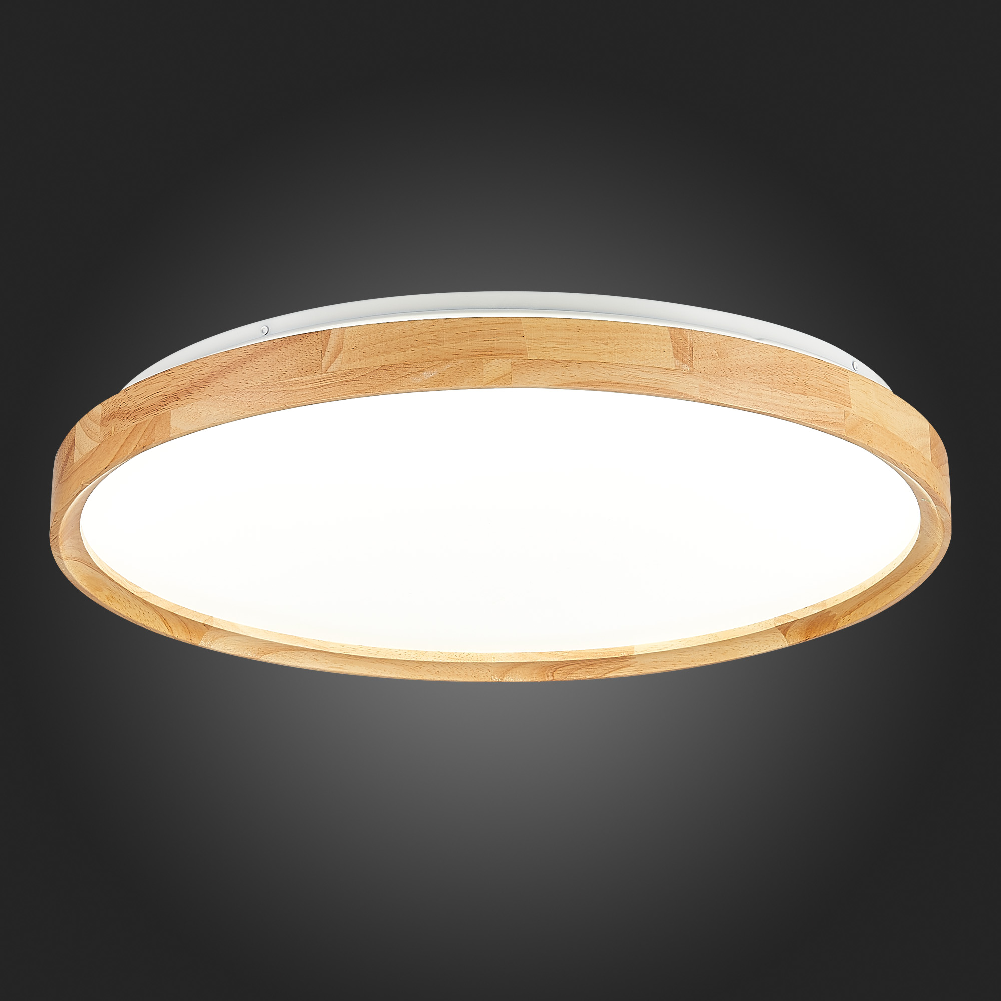 Картинка Потолочный сетодиодный светильник Evoluce Delia SLE201382-01