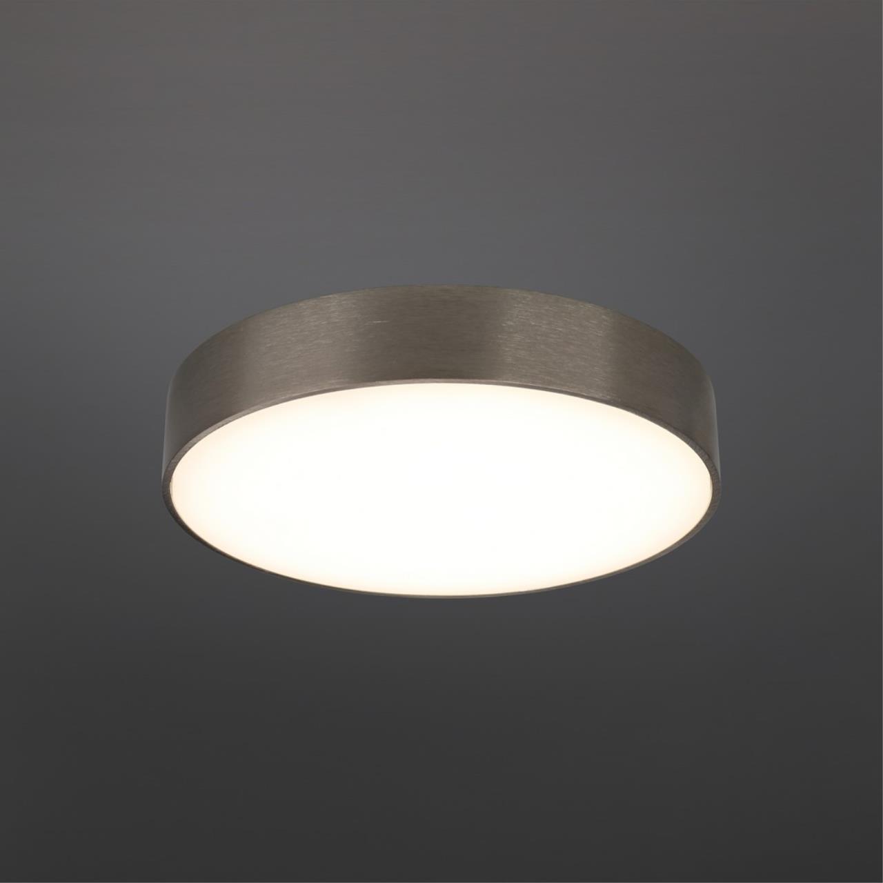 Картинка Потолочный светодиодный светильник Aployt Evon APL.0114.19.24