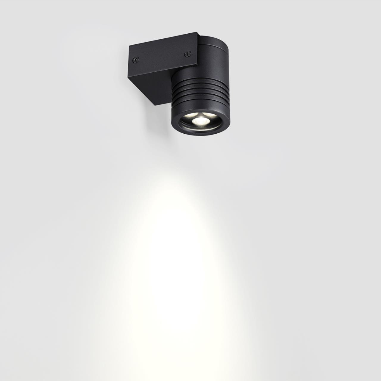 Картинка 6648/6WL NATURE Odeon Light  Фасадный светильник STIMA