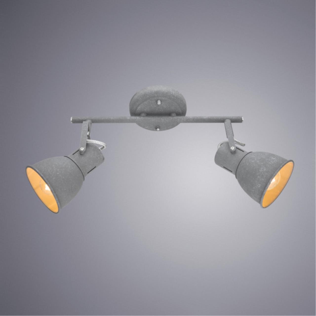 Картинка Спот Arte Lamp A1677PL-2GY