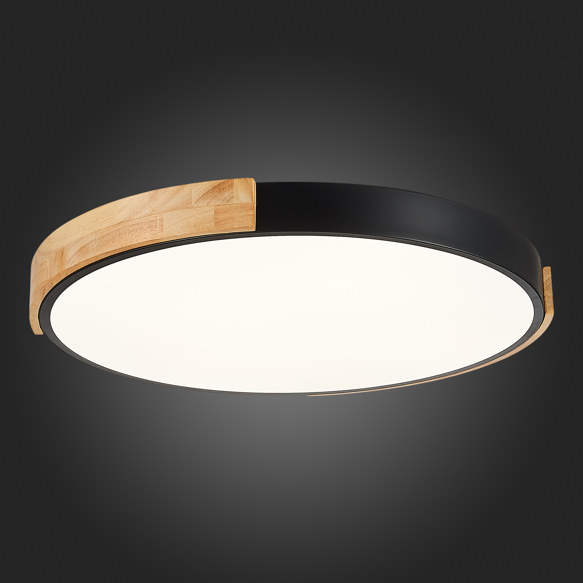 Картинка Потолочный сетодиодный светильник Evoluce Delia SLE201342-01