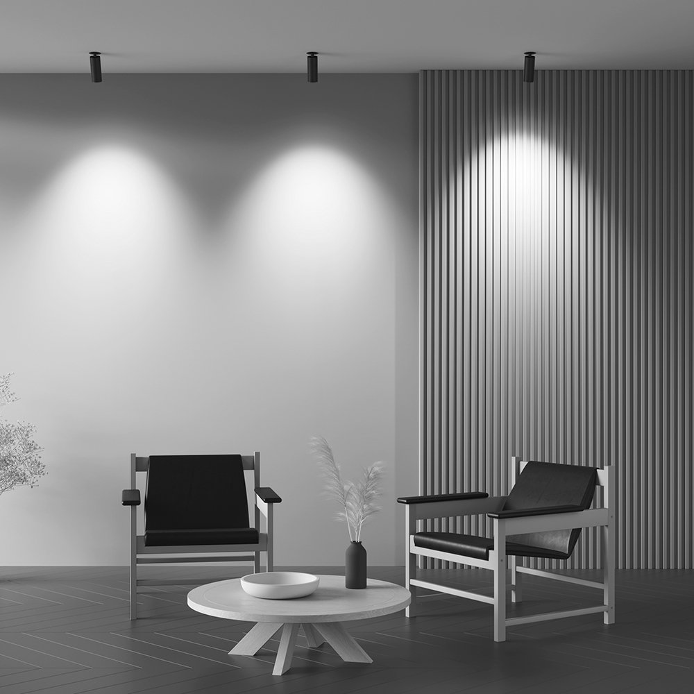 Картинка Потолочный светильник Technical C053CL-L12W3K-W-B