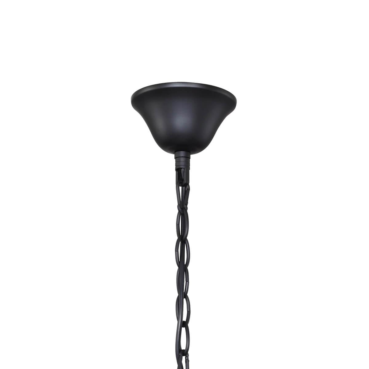 Картинка Подвесная люстра F-Promo Cirque 2169-5P