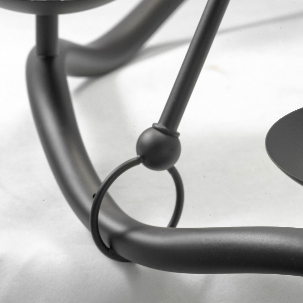 Картинка Подвесная люстра Lussole Lgo LSP-0212