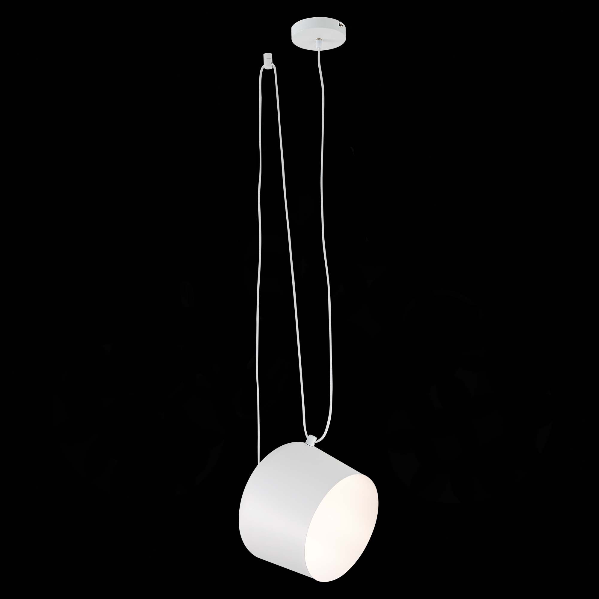 Картинка Подвесной светильник Evoluce Trieste SLE120653-01