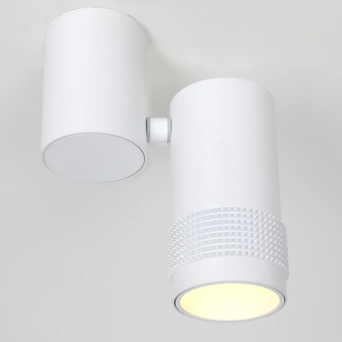 Картинка Спот Favourite Kinescope 2453-1U