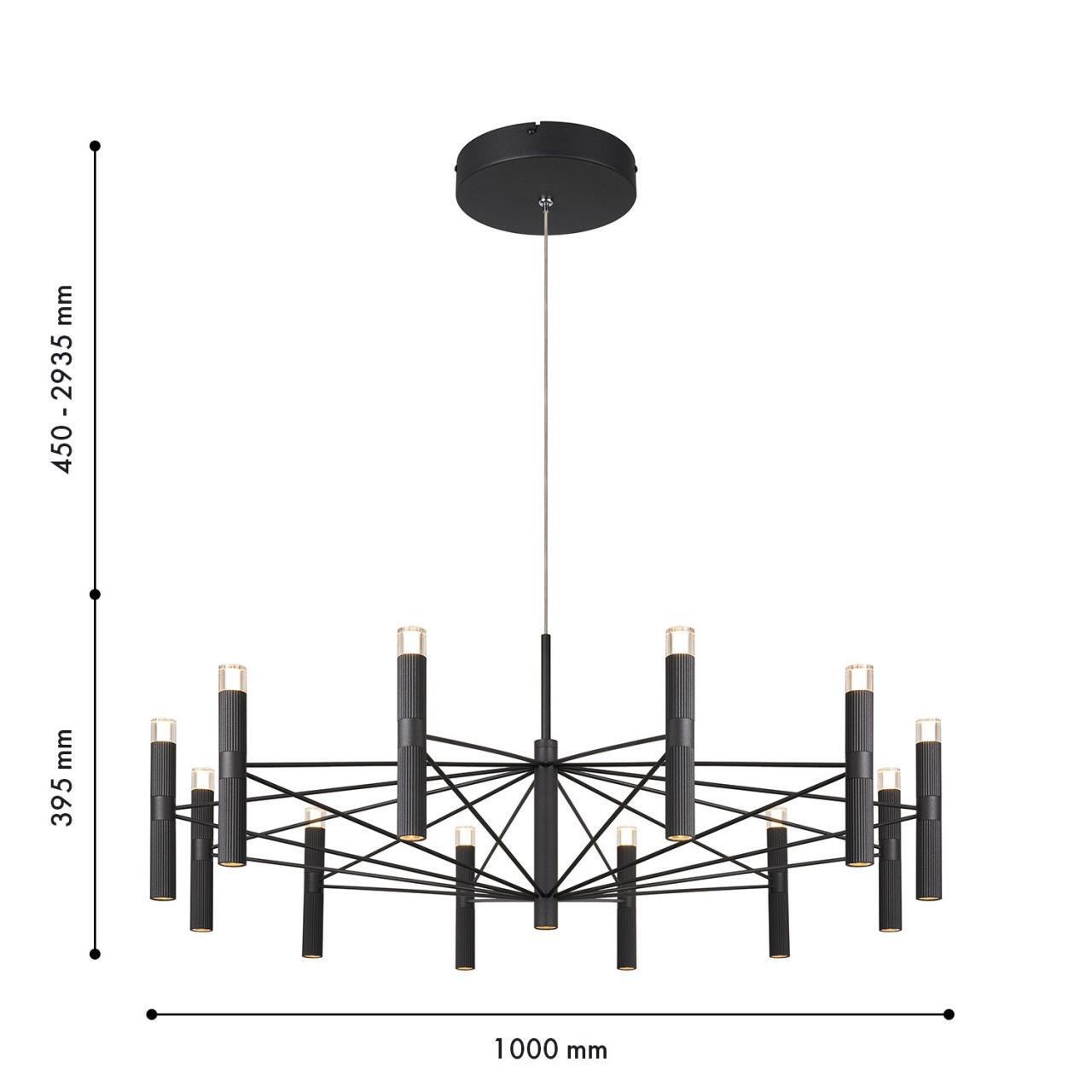 Картинка Подвесная люстра Favourite 4758-12P Blick