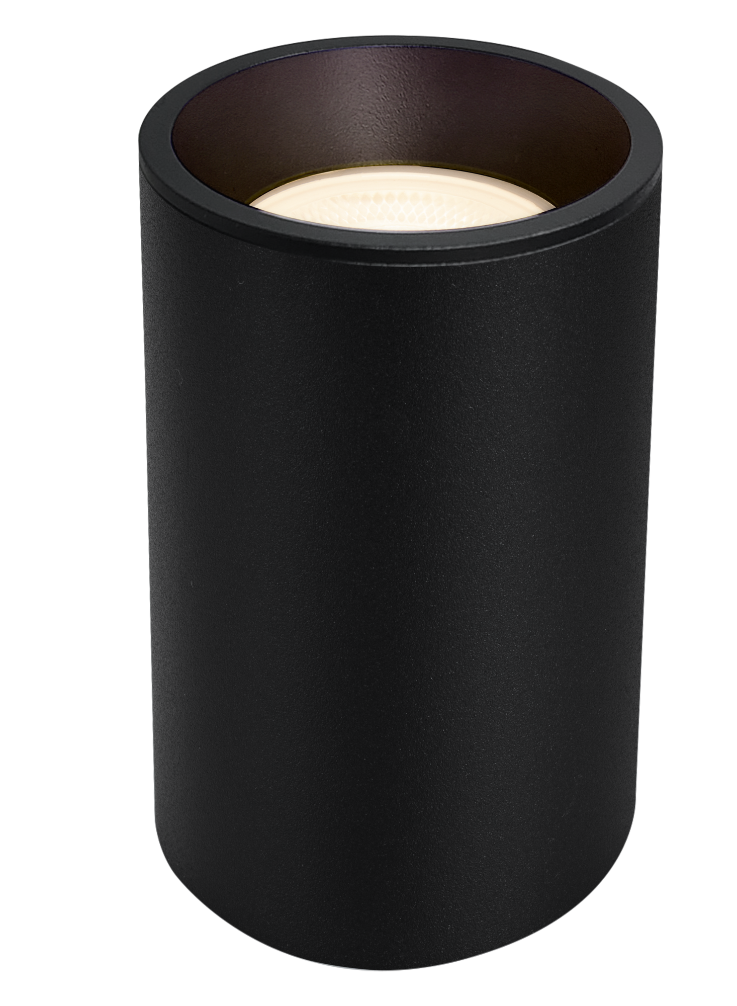 Картинка Потолочный светильник Technical C029CL-01-S-B