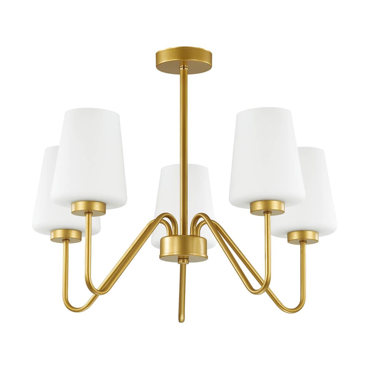 Картинка Подвесная люстра Lumion Olivia 3791/5C